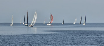 Mittwochsregatta