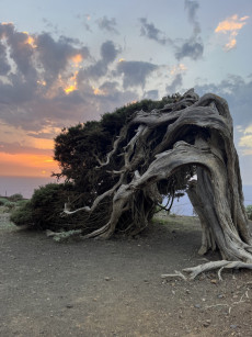 Unter Sei Richtung El Hierro | Foto: Privat