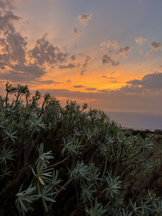 Unter Sei Richtung El Hierro | Foto: Privat