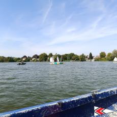 Opti segeln in Lübeck | Foto: LYC