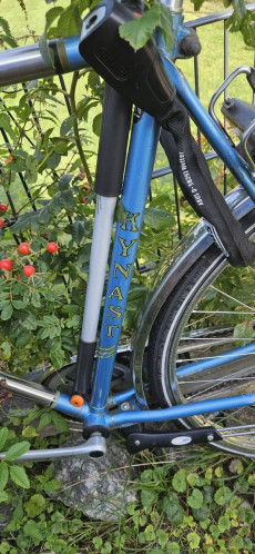 Fahrrad | Foto: LYC
