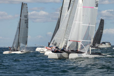 Flying A-Cat | Foto: Dr. Udo Ott