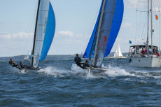 Flying A-Cat | Foto: Dr. Udo Ott