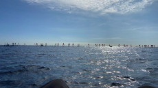 Team in Barcelona | Foto: Nele