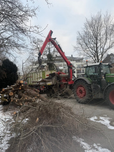 Stammfäulnis | Foto: LYC