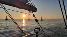 Mittwochsregatta | Foto: OrgaSee