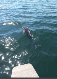 Blackadder rund Fehmarn | Foto: Einar Recknagel