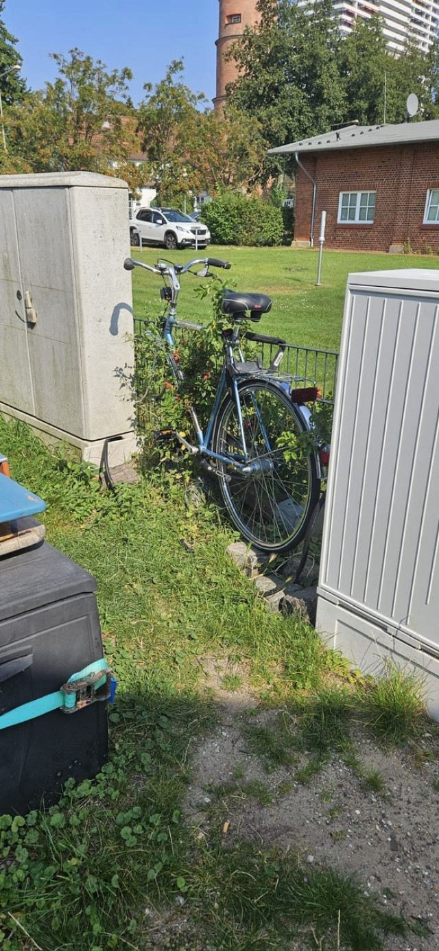 Fahrrad | Foto: LYC