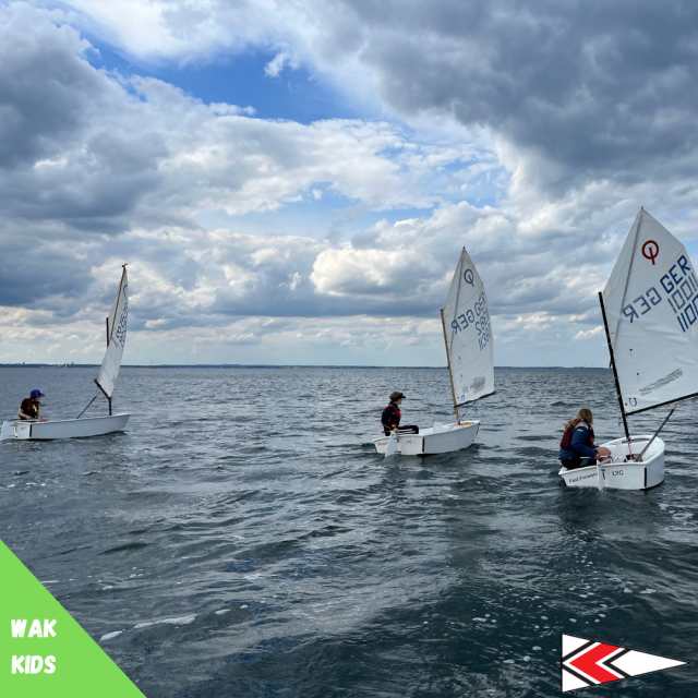 Schnuppern auf der Ostsee | Foto: LYC